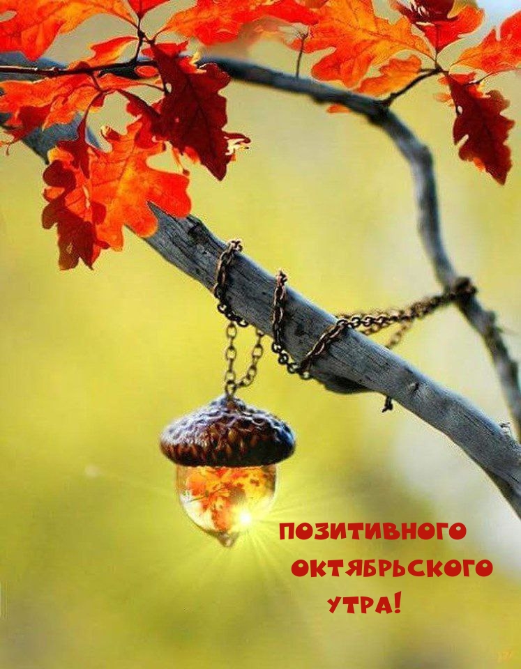 Позитивного Октябрьского Утра!