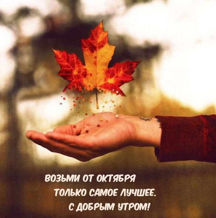 Возьми от октября Только самое лучшее. С добрым утром!