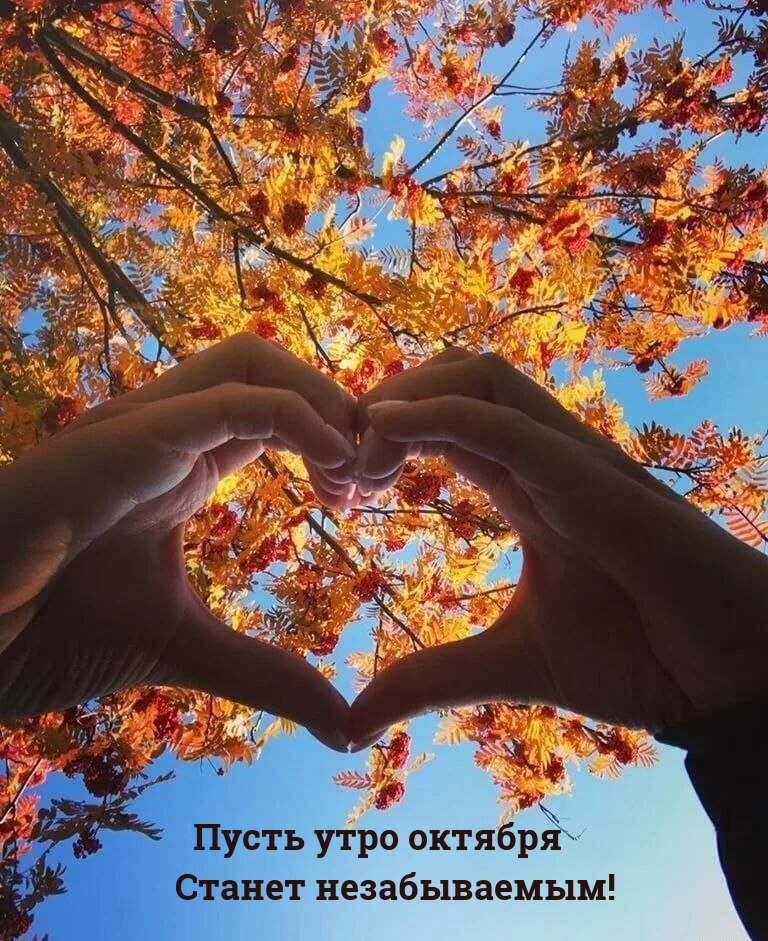Пусть утро октября станет незабываемым!