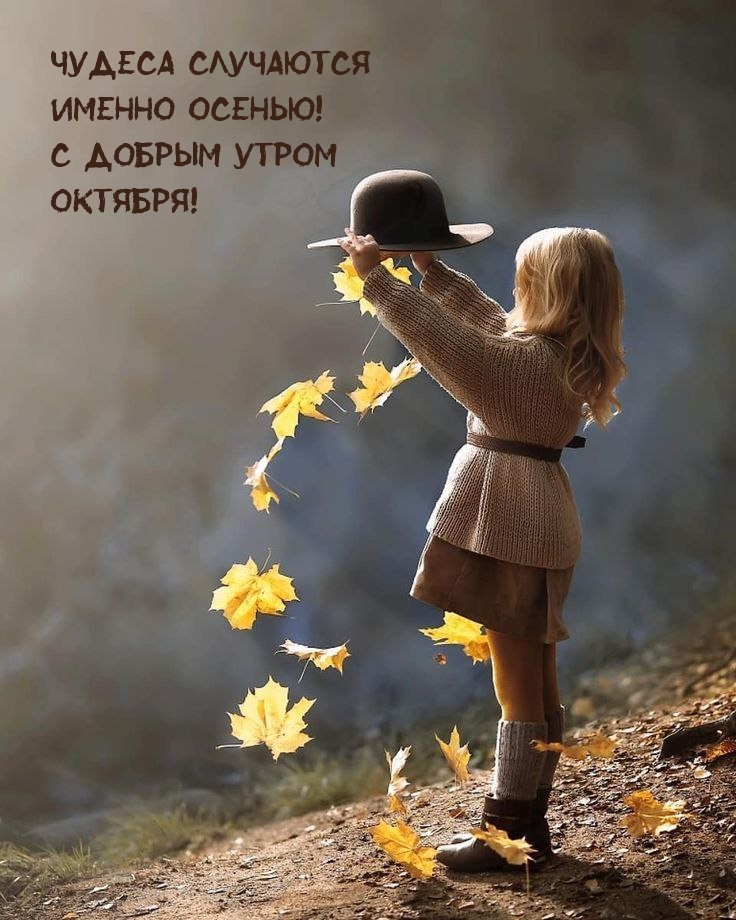 Чудеса случаются Именно осенью! С добрым утром Октября!