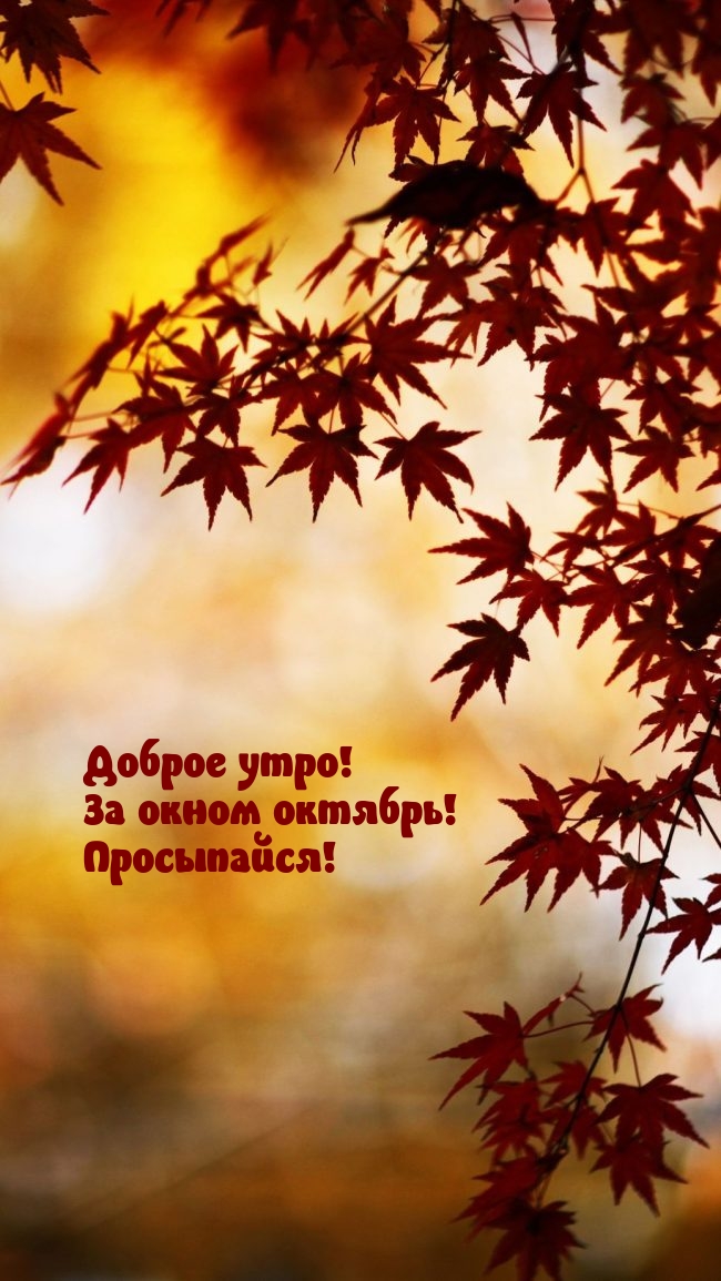 Доброе утро! За окном октябрь! Просыпайся!