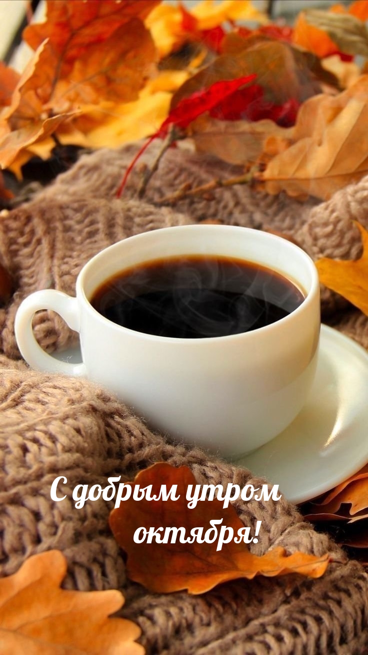C добрым утром октября!