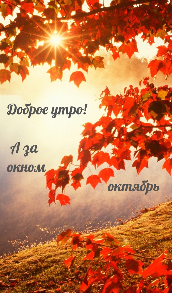 Доброе утро! А за окном октябрь