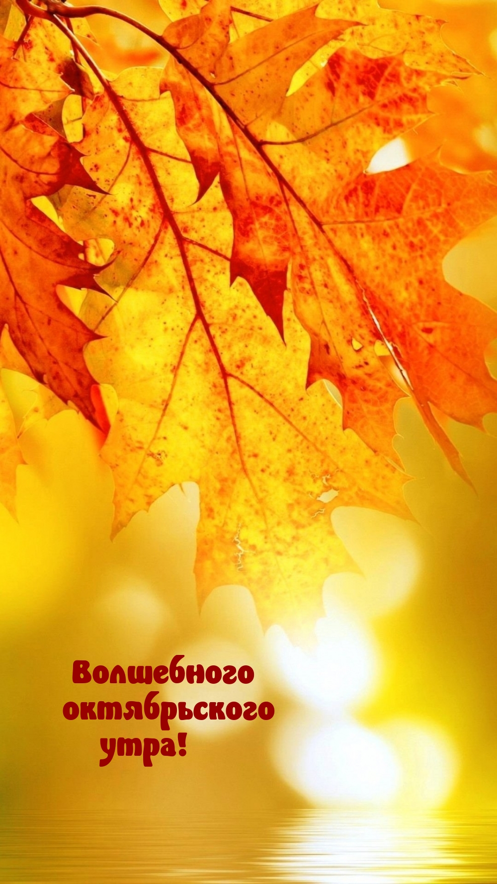 Волшебного октябрьского утра!