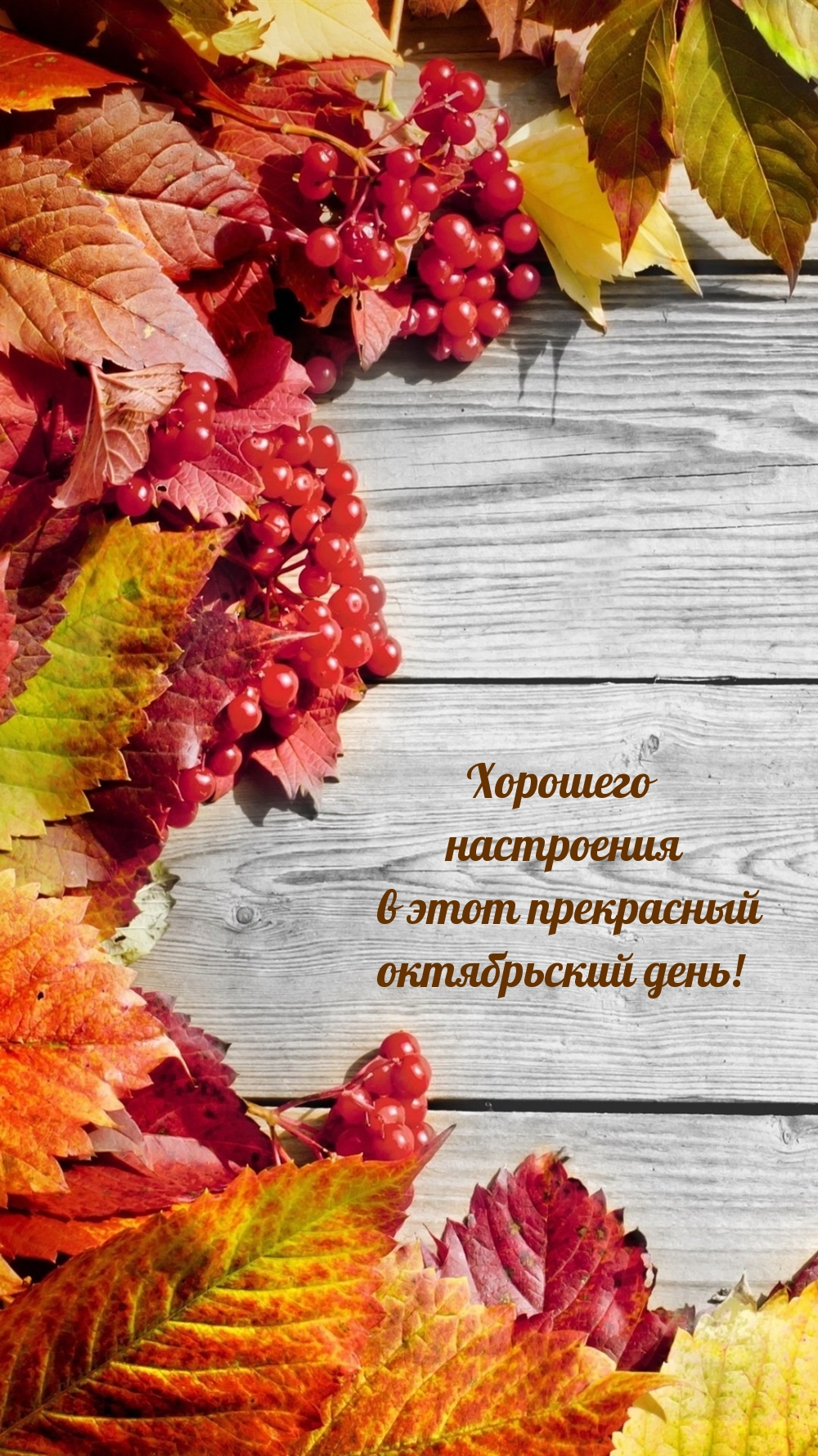 Хорошего настроения в этот прекрасный октябрьский день!