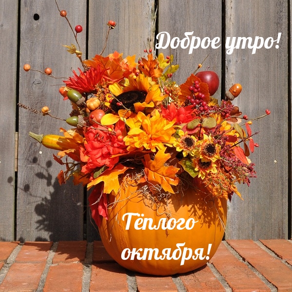 Доброе утро! Тёплого октября!