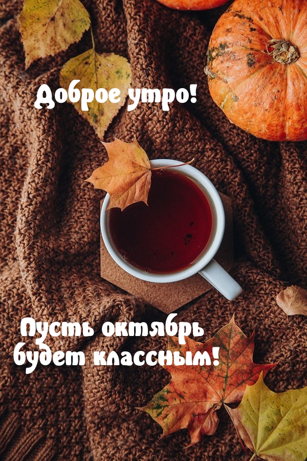 Доброе утро! Пусть октябрь будет классным!