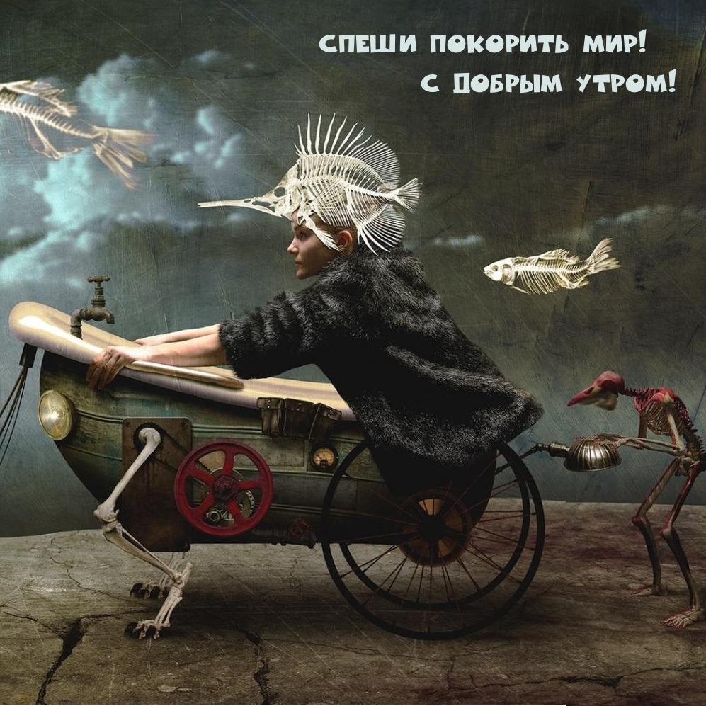 Спеши покорить мир! С добрым утром!