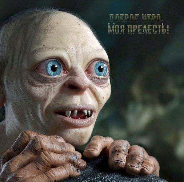 Доброе утро, моя прелесть!