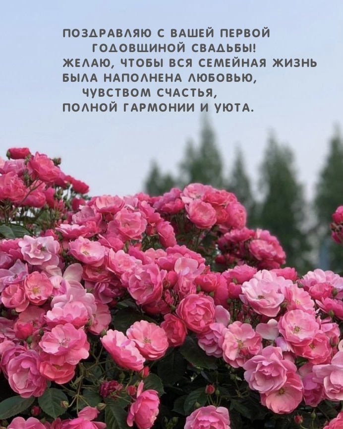 Поздравляю с Вашей первой годовщиной свадьбы!