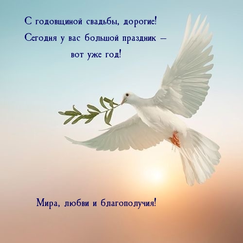 С годовщиной свадьбы, дорогие!
