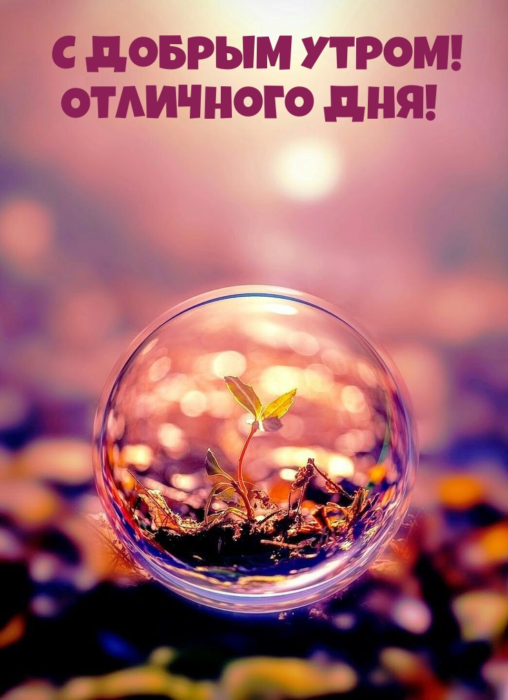 С Добрым Утром! Отличного дня!