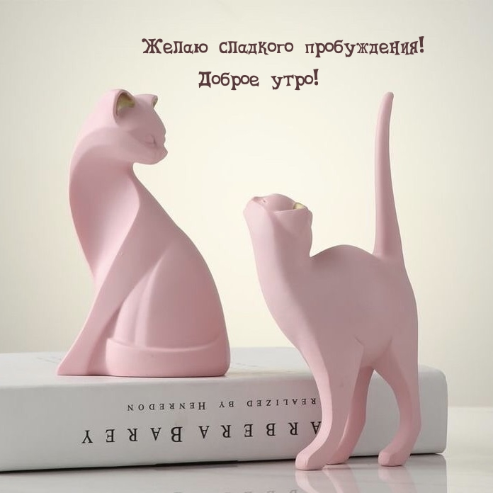 Желаю сладкого пробуждения! Доброе утро!