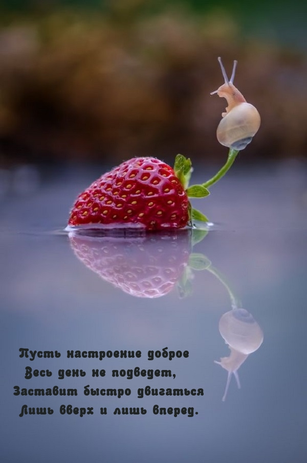 Пусть настроение доброе весь день не подведет