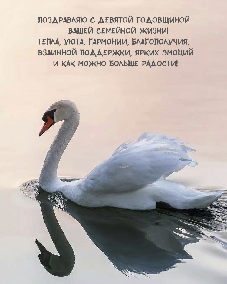 Поздравляю с девятой годовщиной вашей семейной жизни!