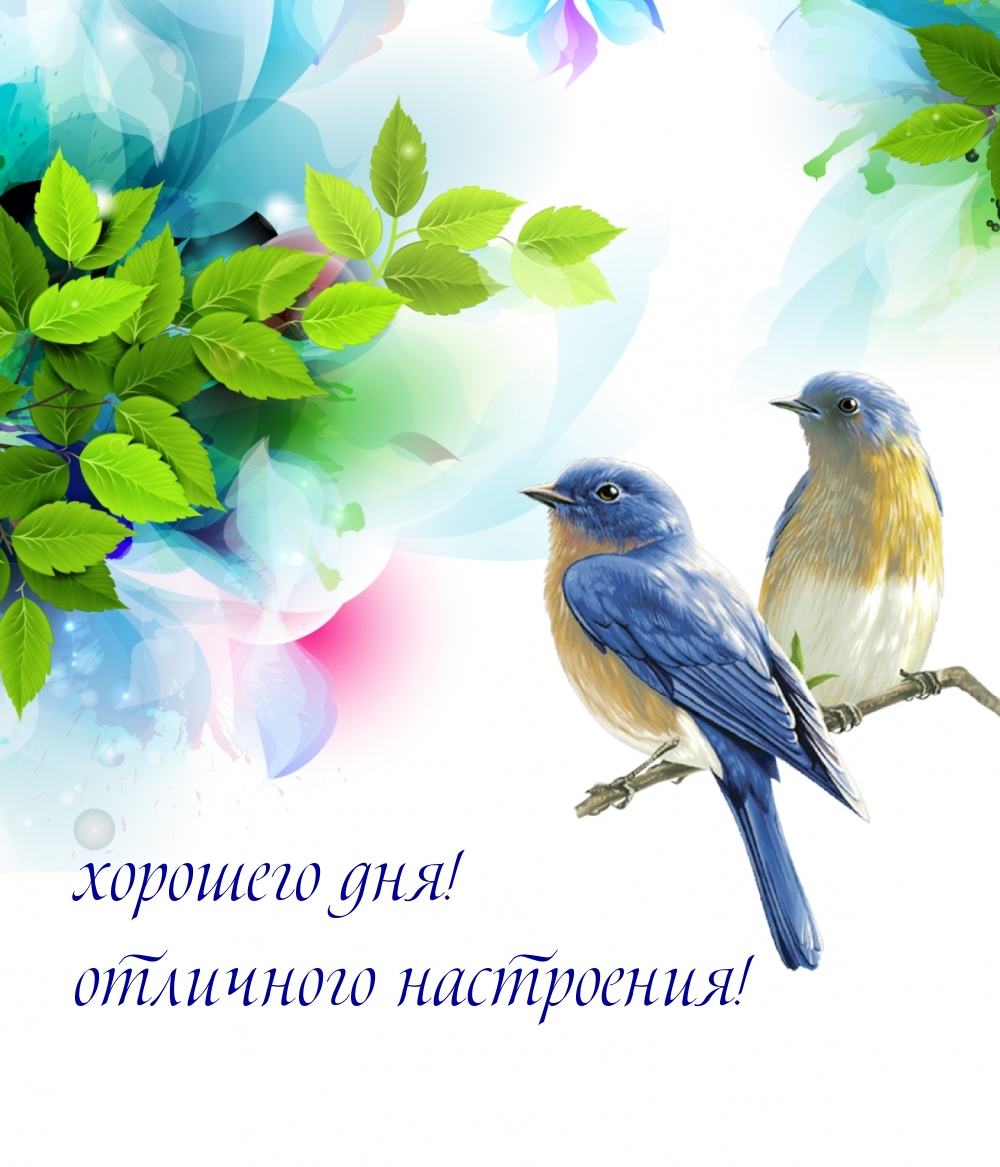 хорошего дня! отличного настроения!