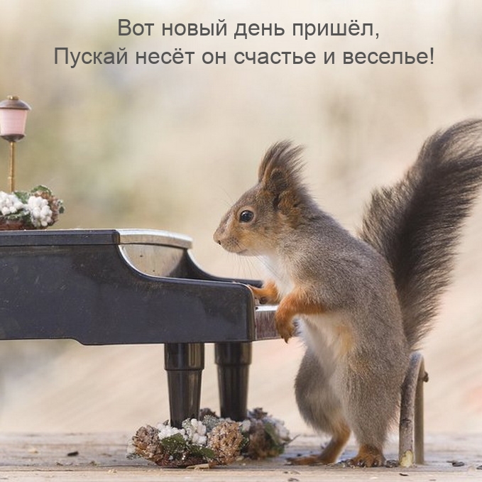 Вот новый день пришёл, пускай несёт он счастье и веселье!