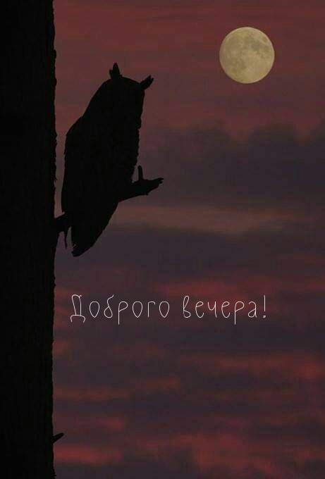 Доброго вечера!