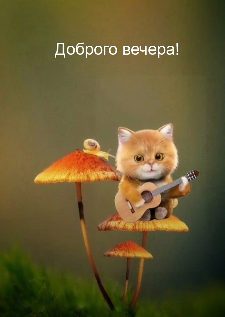 Картинки с надписями.  Доброго вечера!.