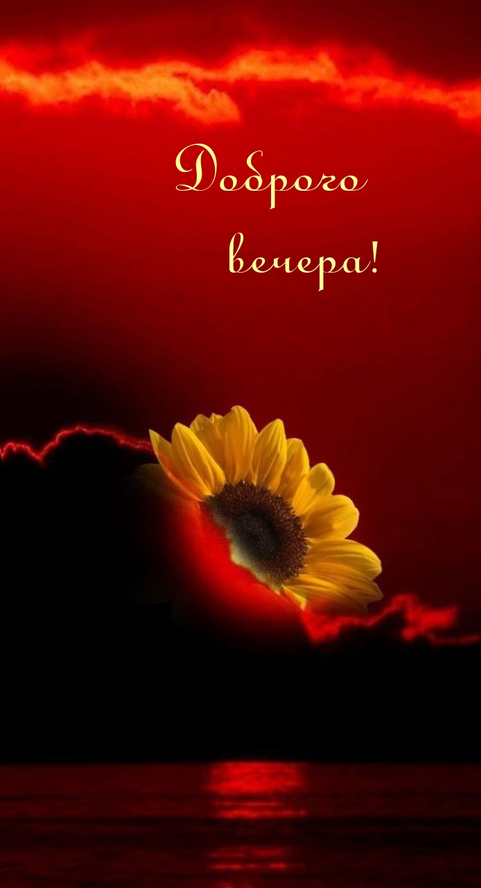 Доброго вечера!