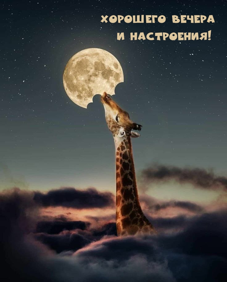 Хорошего вечера и настроения!