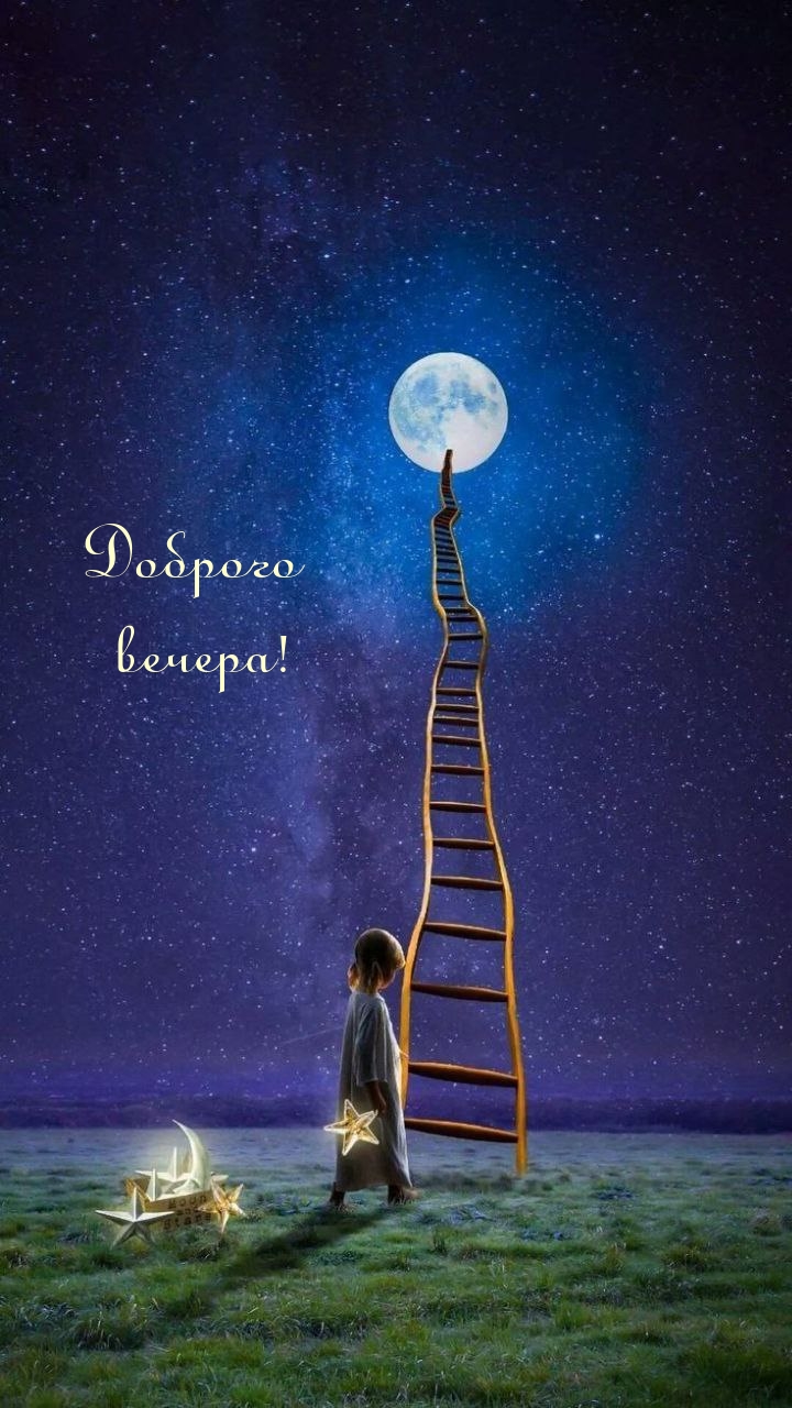 Доброго вечера!