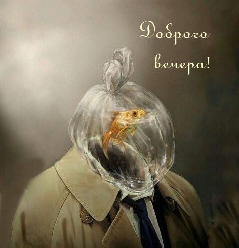 Доброго вечера!