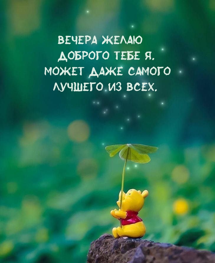 Вечера желаю Доброго тебе я. Может даже самого Лучшего из всех.