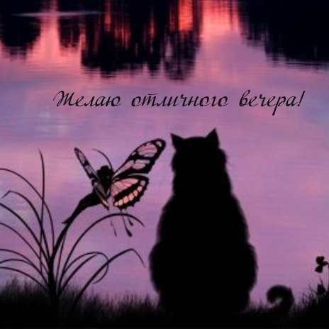 Желаю отличного вечера!