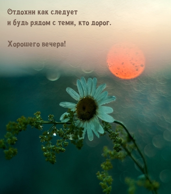 Отдохни как следует и будь рядом с теми, кто дорог.