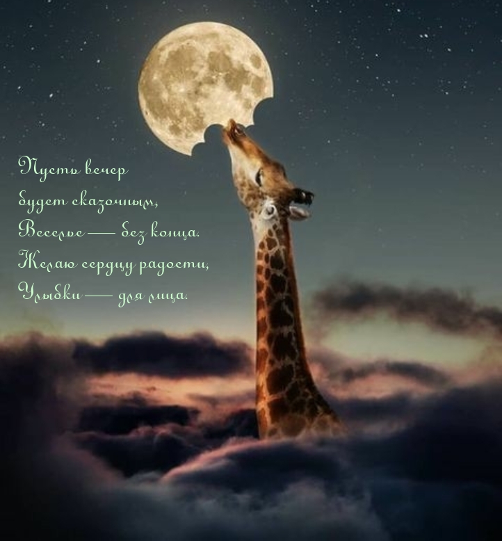 Пусть вечер будет сказочным, веселье — без конца.