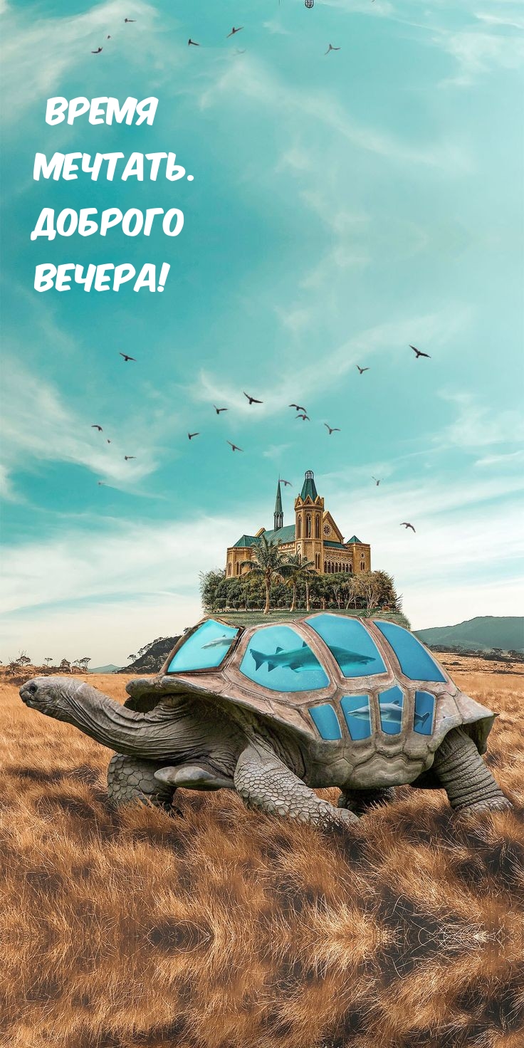 Время Мечтать. Доброго Вечера!