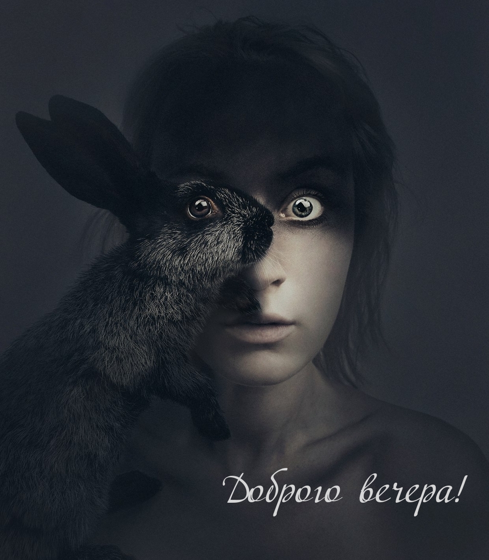 Доброго вечера!