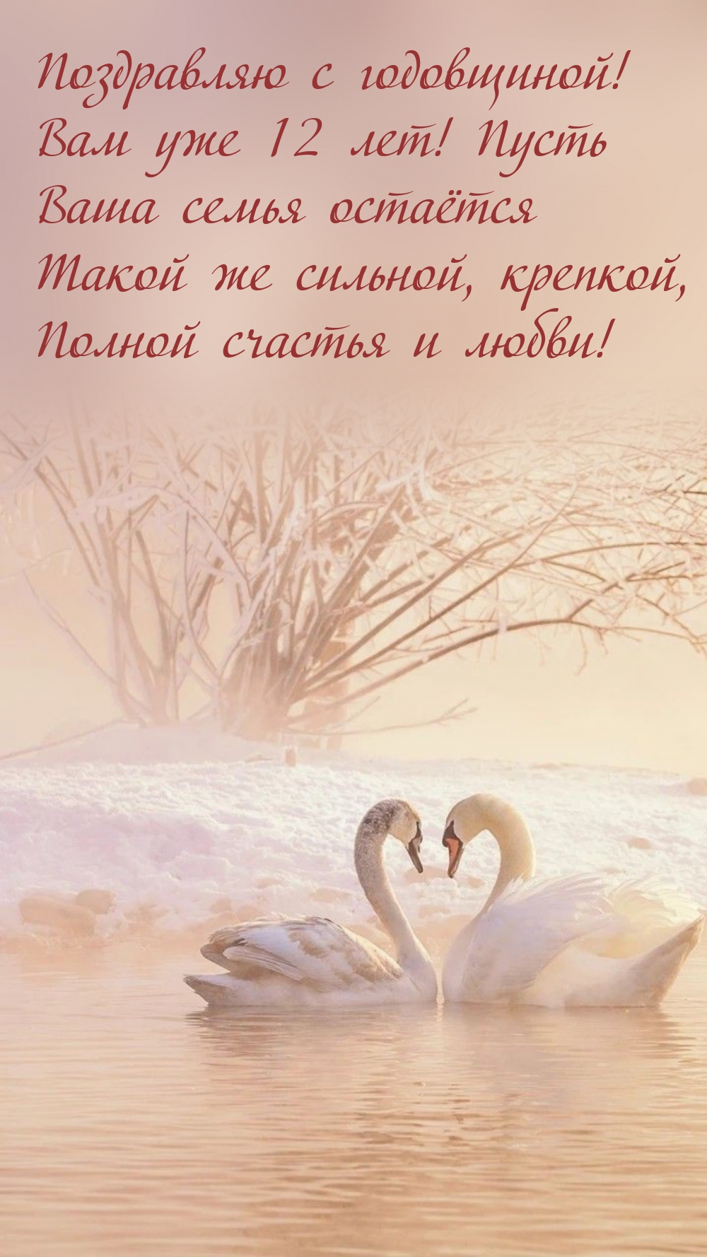 Поздравляю с годовщиной! Вам уже 12 лет!
