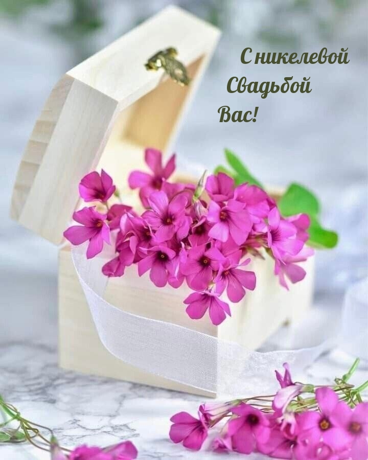 С никелевой Свадьбой Вас!