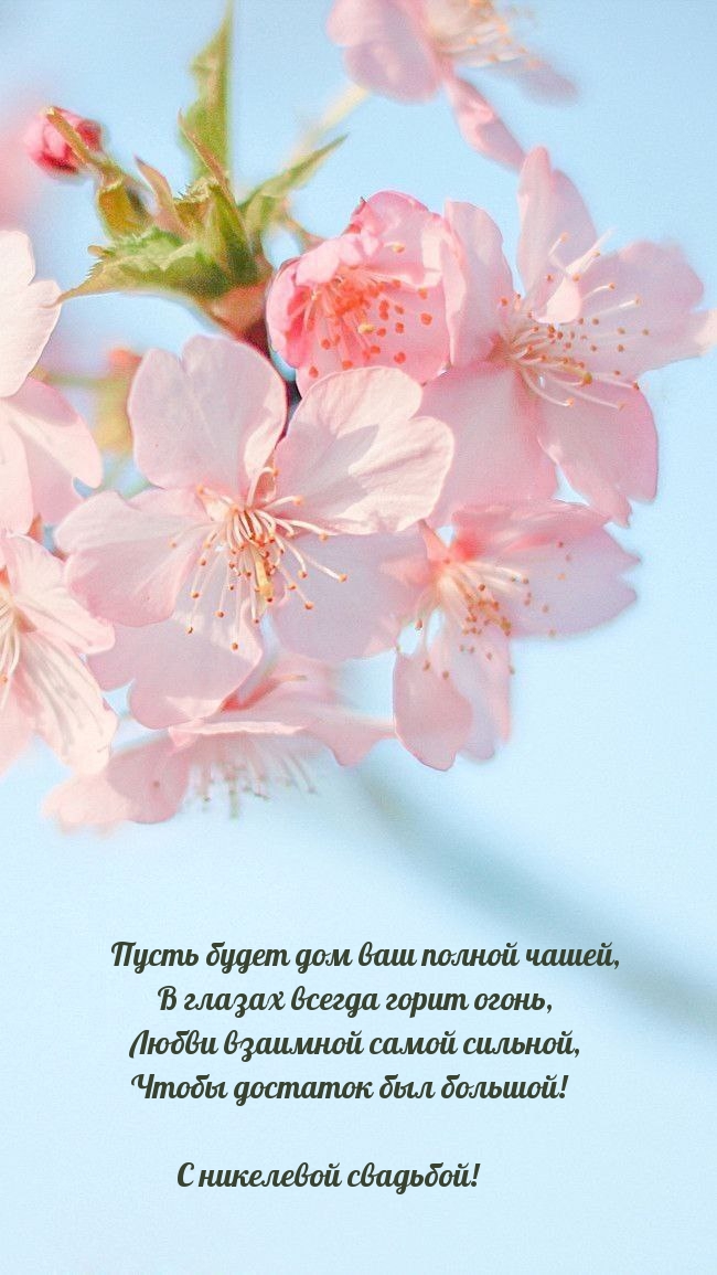 С никелевой свадьбой! Пусть будет дом ваш полной чашей