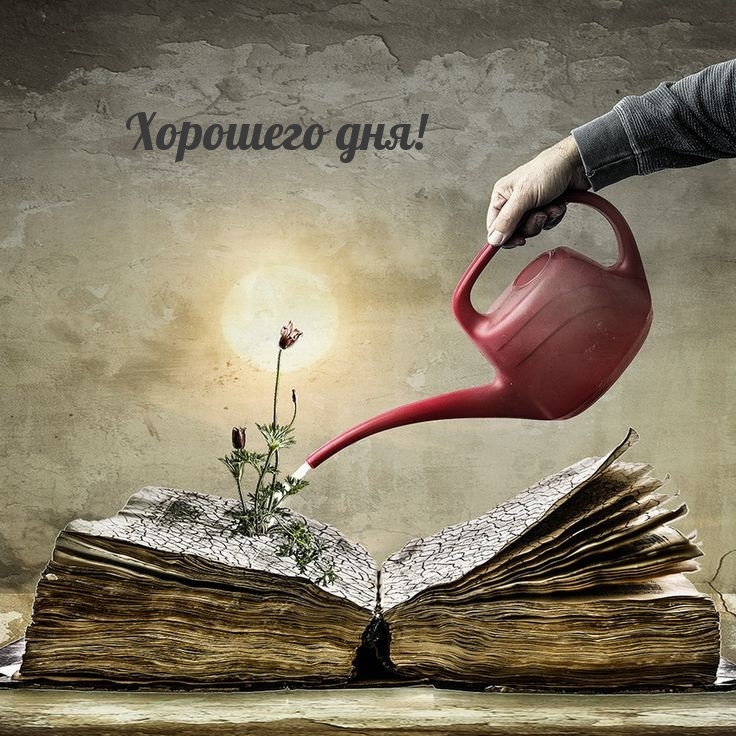 Картинки с надписями.  Хорошего дня!.