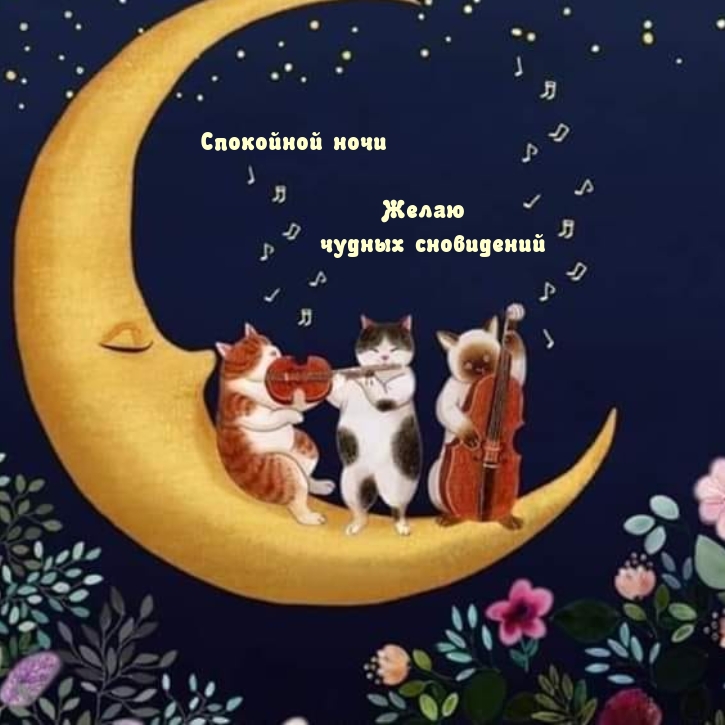 Спокойной ночи Желаю чудных сновидений