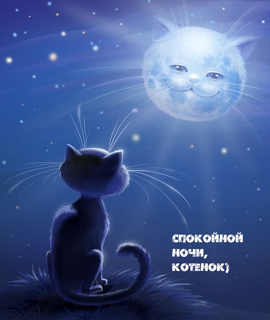Спокойной ночи, котенок)