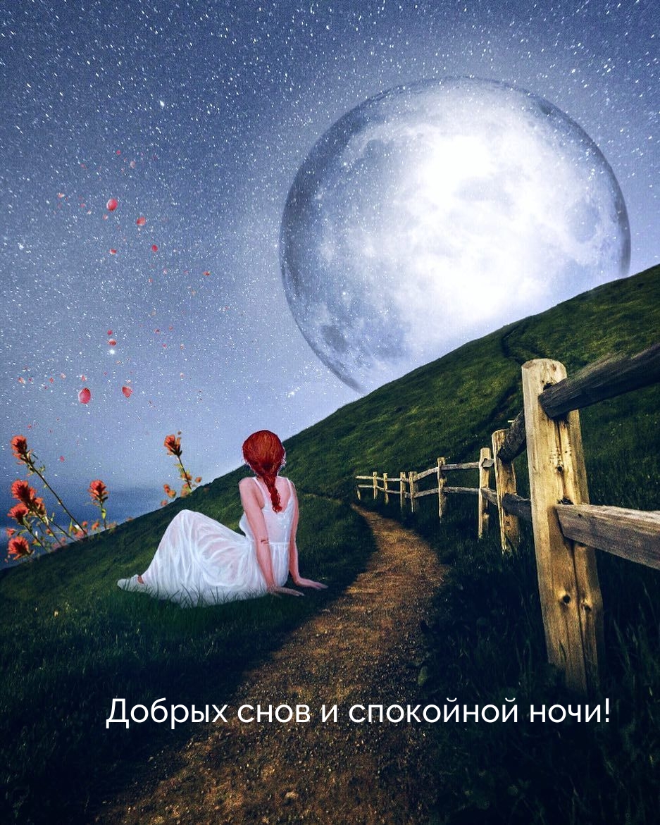 Добрых снов и спокойной ночи!