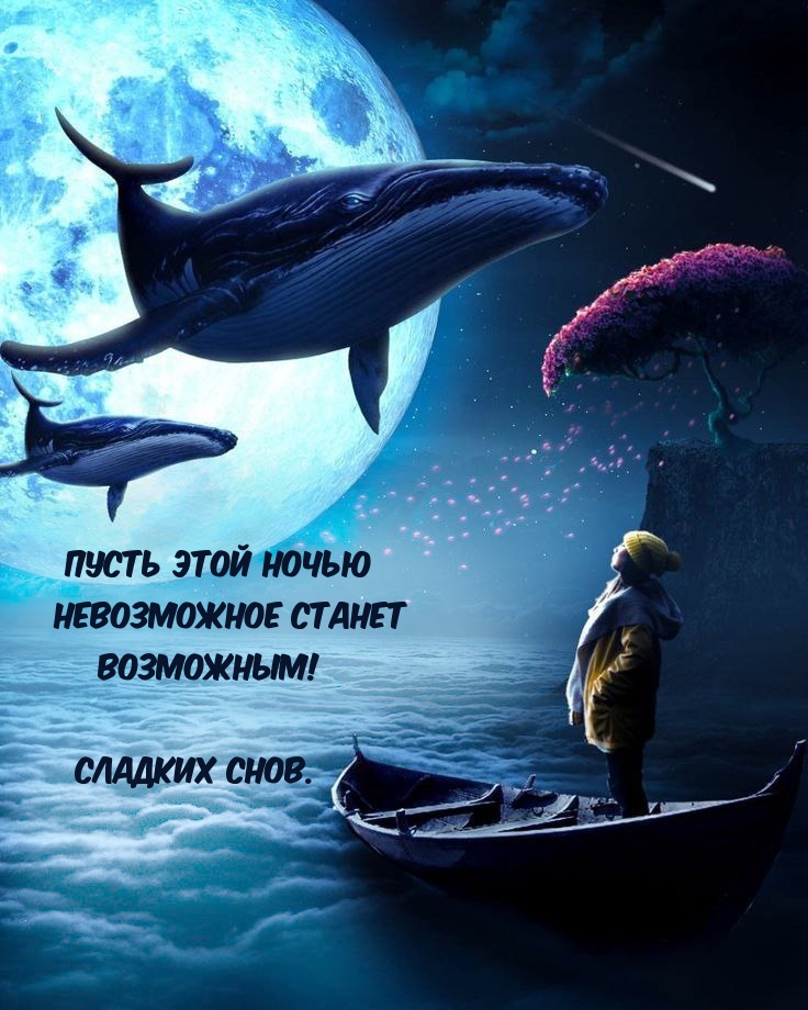 Пусть этой ночью невозможное станет возможным! Сладких снов.