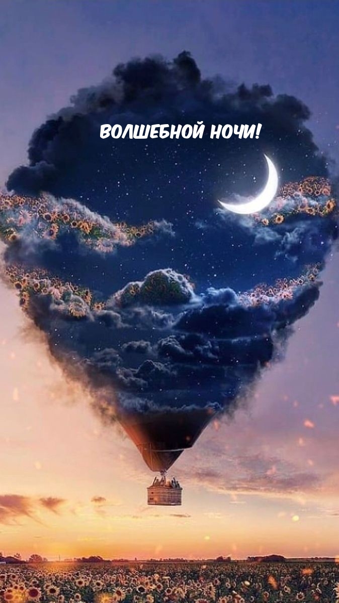 Волшебной ночи!