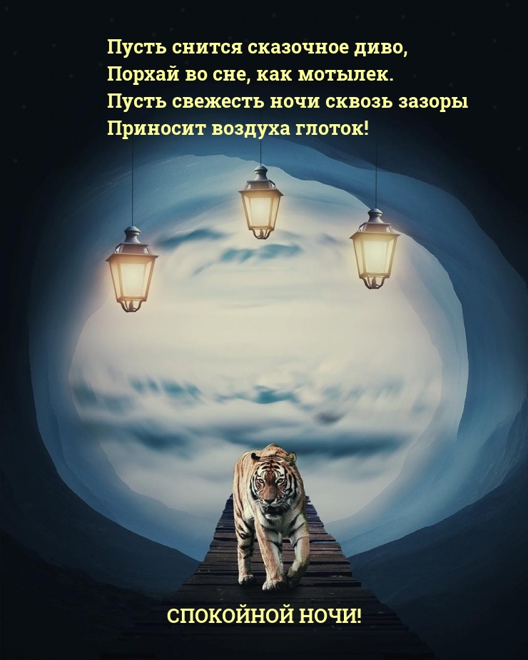 Пусть снится сказочное диво, порхай во сне, как мотылек.