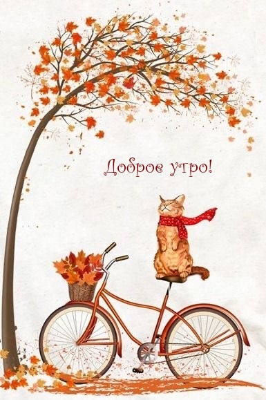Доброе утро!