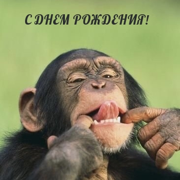 С ДНЕМ РОЖДЕНИЯ!