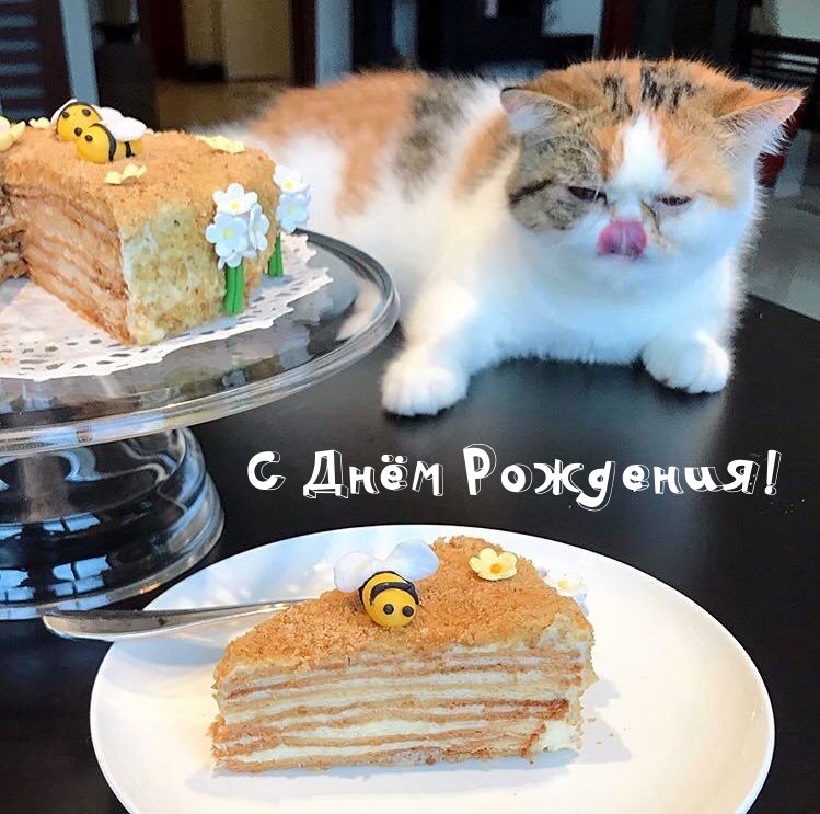 С Днём Рождения!