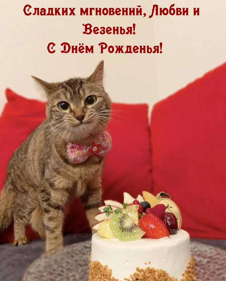 Сладких мгновений, Любви и Везенья! С Днём Рожденья!