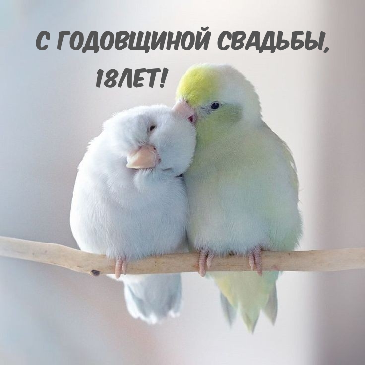 С годовщиной свадьбы, 18лет!