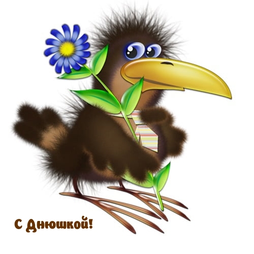 С Днюшкой!