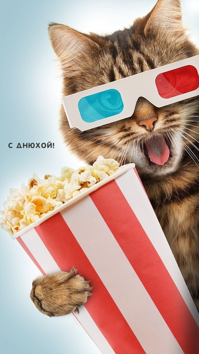 С ДНЮХОЙ!